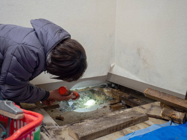 Best Biohazard Mold Removal  in Danielson, CT