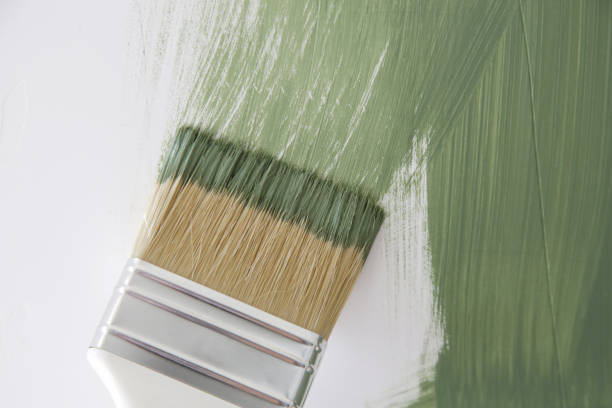 Mold Remediation for Vacation Homes in Danielson, CT