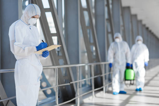 Best Water Damage & Mold Remediation  in Danielson, CT