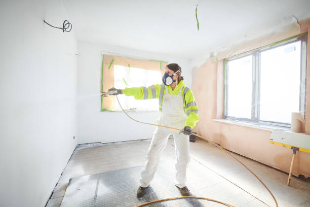 Mold Odor Removal Services in Danielson, CT