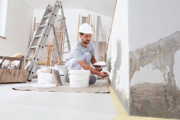 Best Industrial Mold Remediation  in Danielson, CT