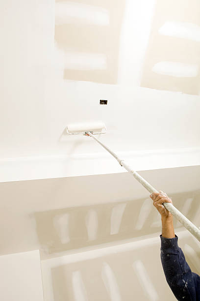 Best Mold Removal for HVAC Installations  in Danielson, CT