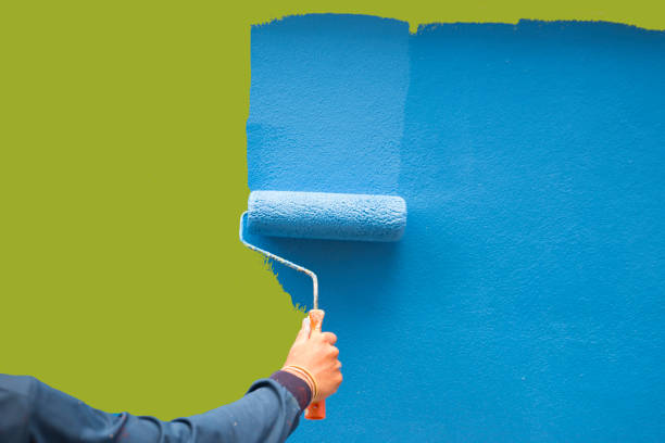 Best Mold Odor Removal Services  in Danielson, CT