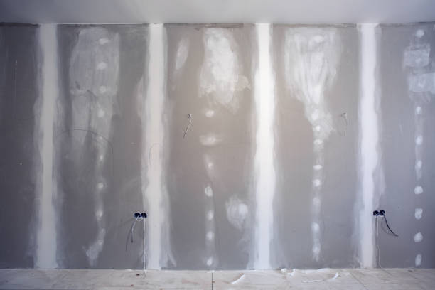 Best Basement Mold Removal  in Danielson, CT